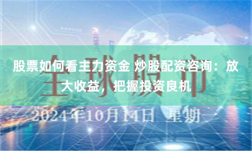 股票如何看主力资金 炒股配资咨询:放大收益,把握投资良机