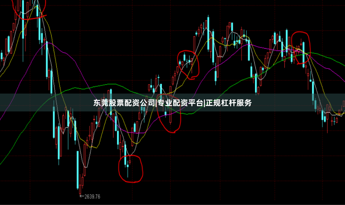 东莞股票配资公司|专业配资平台|正规杠杆服务
